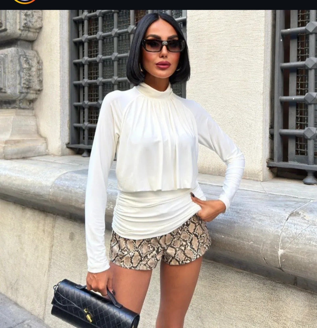 Evelyn High-Neck Pleated Long Sleeve Blouse
