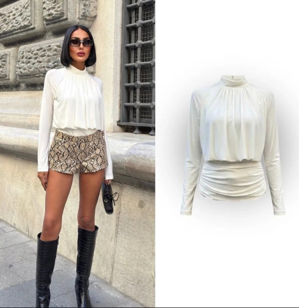 Evelyn High-Neck Pleated Long Sleeve Blouse